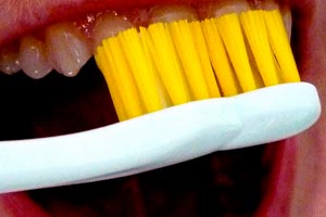 Imagen ilustrativa del artículo Cosmética natural para tener una dentadura perfecta